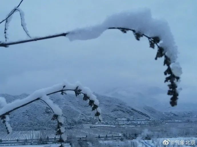 一周天气 | 小雪抵京,周二过后气温快速上升 周五迎惊蛰