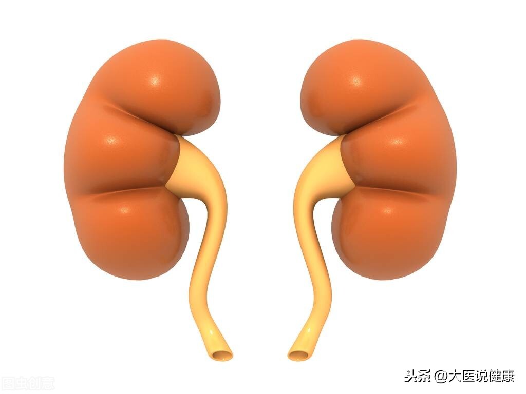 血肌酐涨得快，与4个因素密切相关！分别采取措施，才能不尿毒