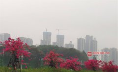 广西以朦胧烟雨拉开了3月