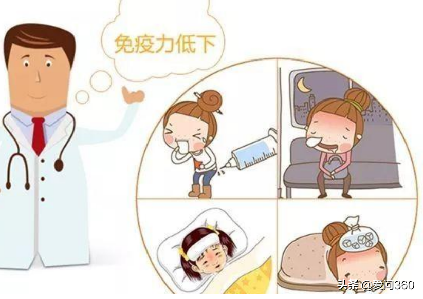 中老年人最渴望的免疫力,只需要这几种做法,身体的保护伞