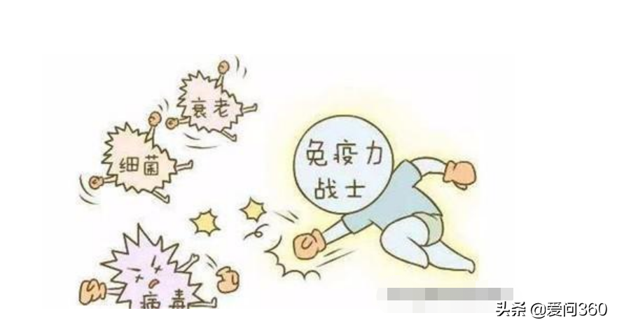 中老年人最渴望的免疫力,只需要这几种做法,身体的保护伞