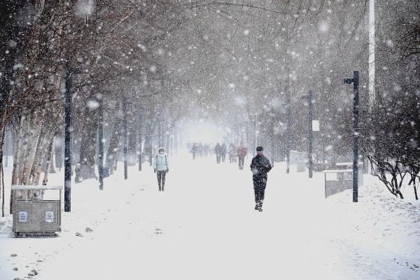 哈尔滨迎降雪天气