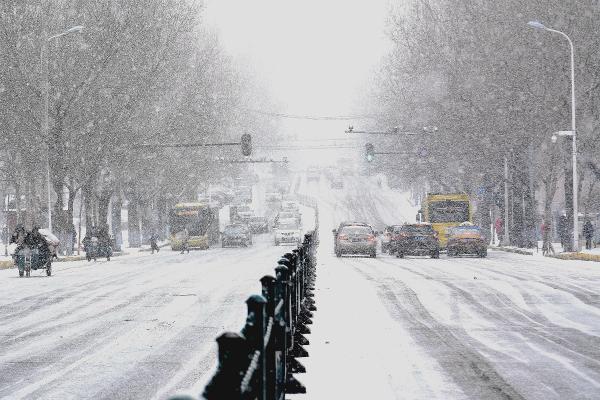 哈尔滨迎降雪天气