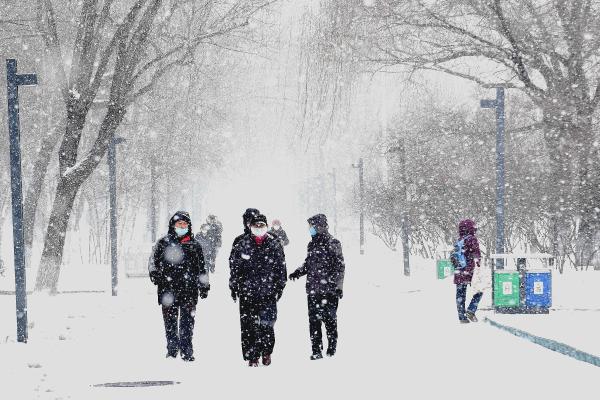 哈尔滨迎降雪天气