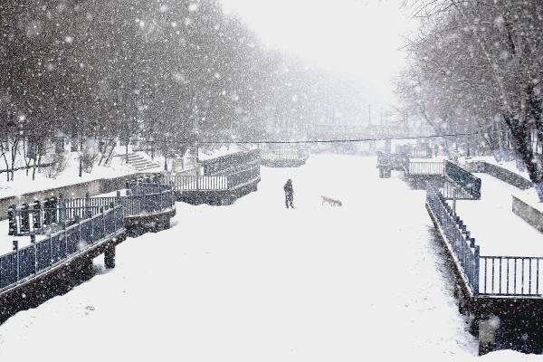 哈尔滨迎降雪天气