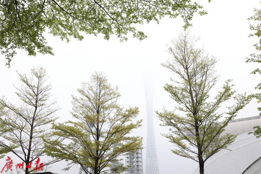 广州天气 | 雨未至，雾朦胧
