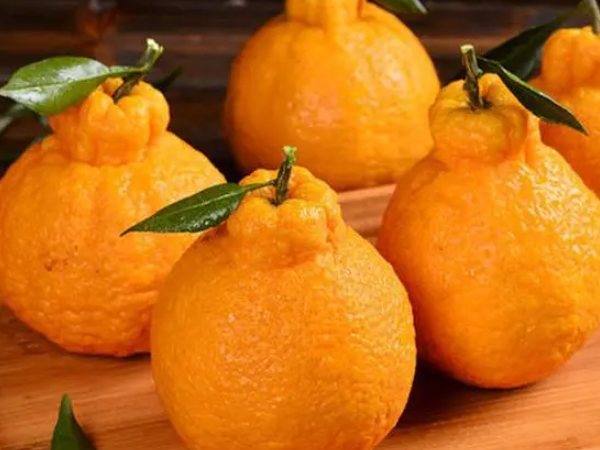 Image 080.png