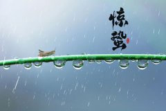 预计未来七天降雨天气多