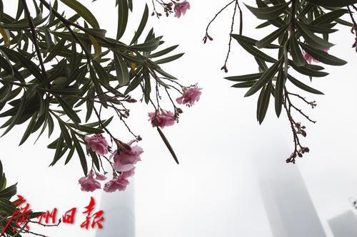 天气太任性!回南天和暴雨过后还要降温