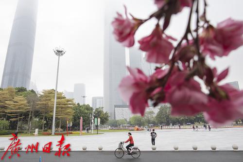 天气太任性!回南天和暴雨过后还要降温