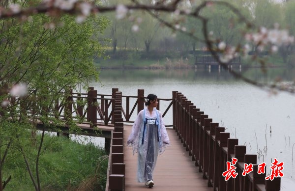 上午小雨，下午晚间可能就停了，周三开始天气回暖