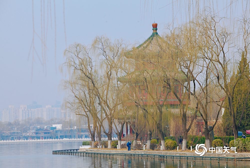 初吐芬芳 北京花朵渐次绽放赏花之旅开启