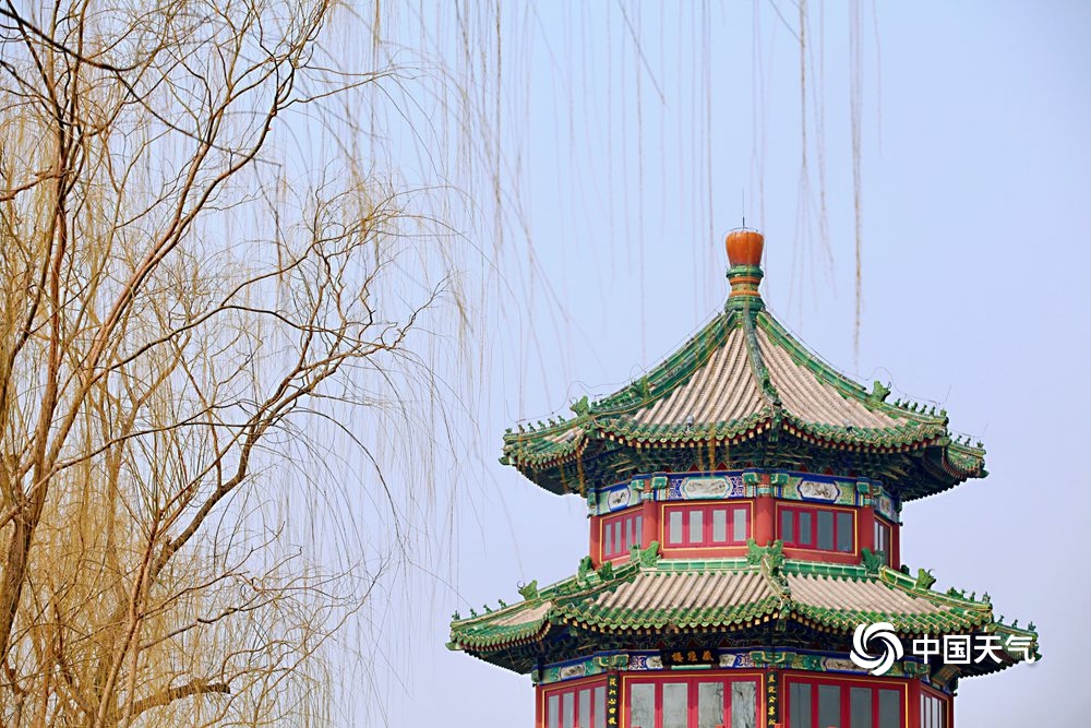 初吐芬芳 北京花朵渐次绽放赏花之旅开启