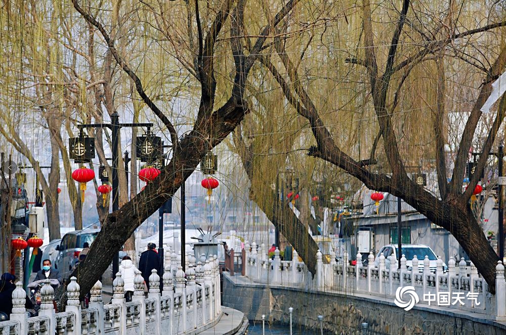初吐芬芳 北京花朵渐次绽放赏花之旅开启