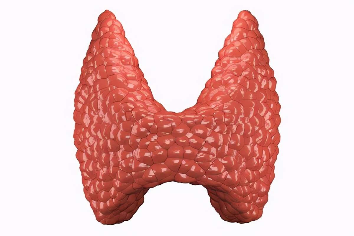 甲状腺的“保护伞”找到了，吃2果2蔬，活血散结，养护甲状腺