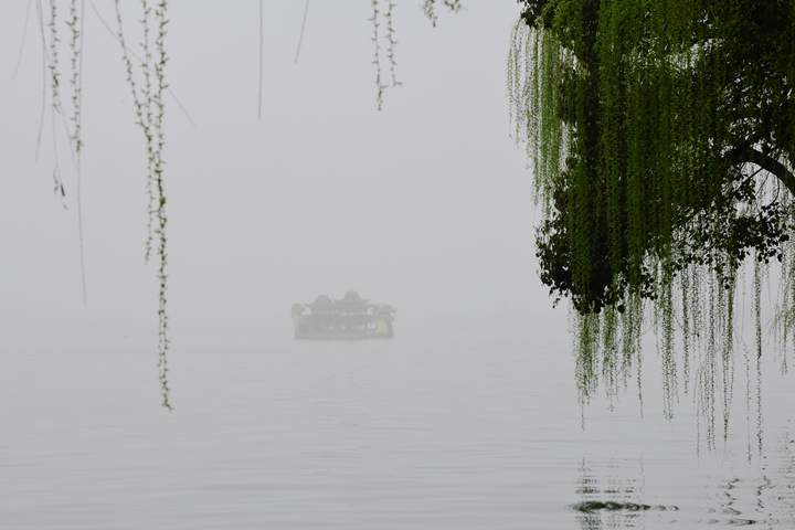 天气|周日最高20℃!这个周末春暖花开,提前安排起来