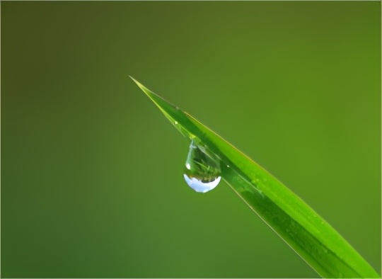天气回暖,明天迎降雨!最新天气赶紧查收