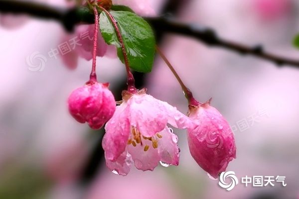 中东部将迎雨雪天气 周末多地明显回暖