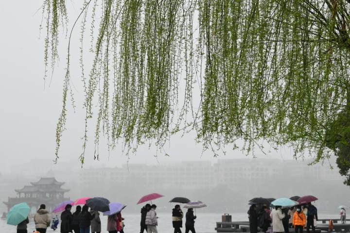 天气|太阳昙花一现后,雨水又来了!周末天气很不错,适宜赏花踏青