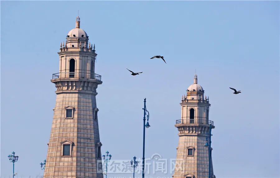 气温回升冻融交替,春天气息扑面而来|超多美图的天气预报