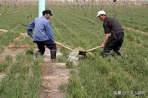 2021年春季是干旱还是雨水多呢?二月初一天气能预测