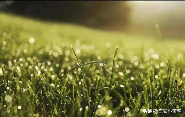 2021年春季是干旱还是雨水多呢？二月初一天气能预测