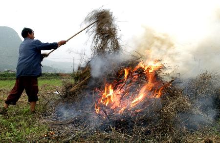 沈阳重污染天气预警期间累计发现秸秆焚烧疑似火点37处