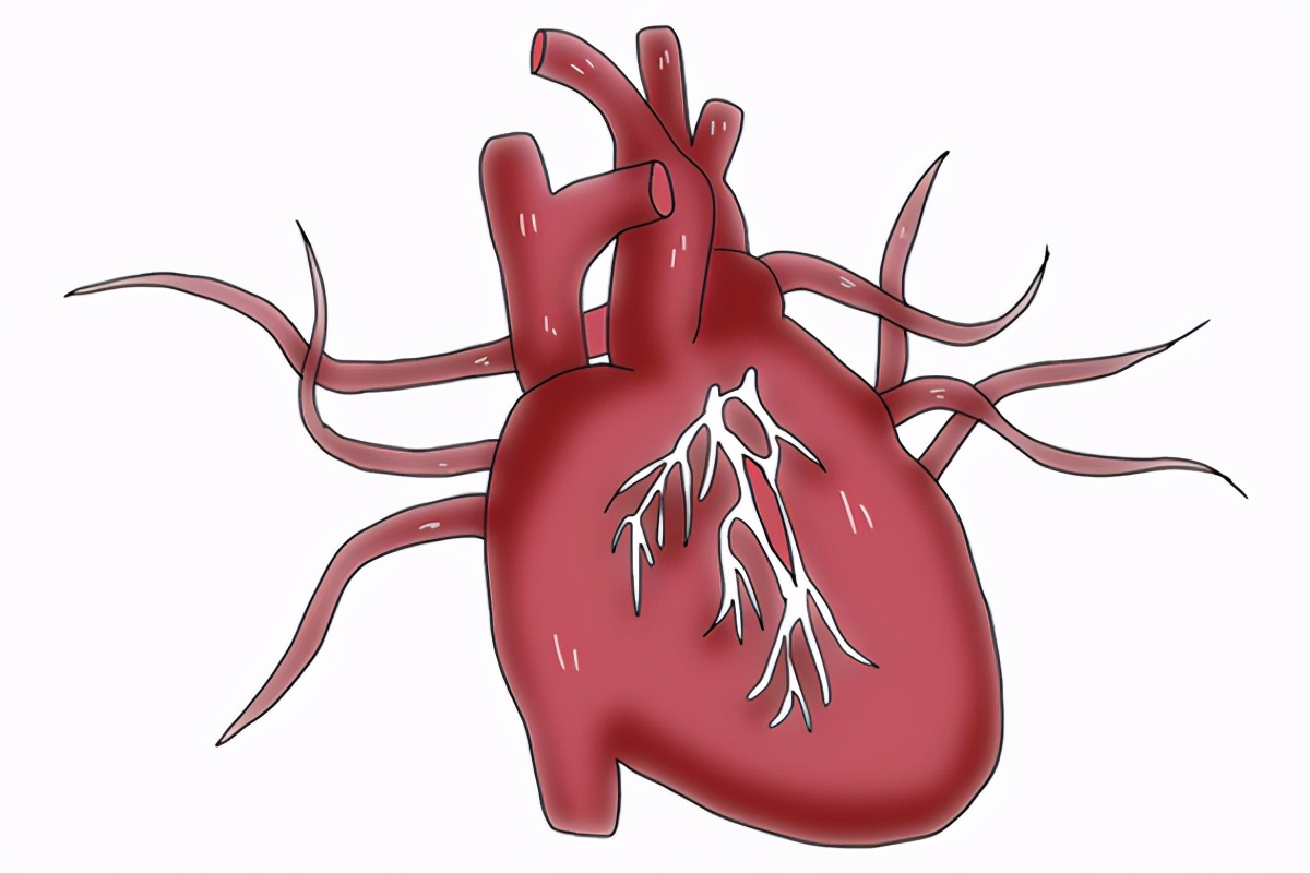 心脏不好，饮食方面要关注什么？医生给出饮食建议，可参考