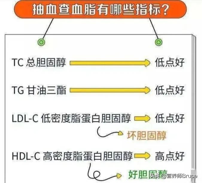 血管油太多,清血管该怎么吃食物?