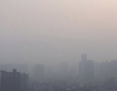 河南省大部地区出现浓雾