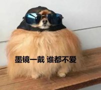 今天阳光时现，湖畔江边