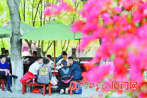 厦门今日天气晴暖舒适 未来几天最高温超25℃