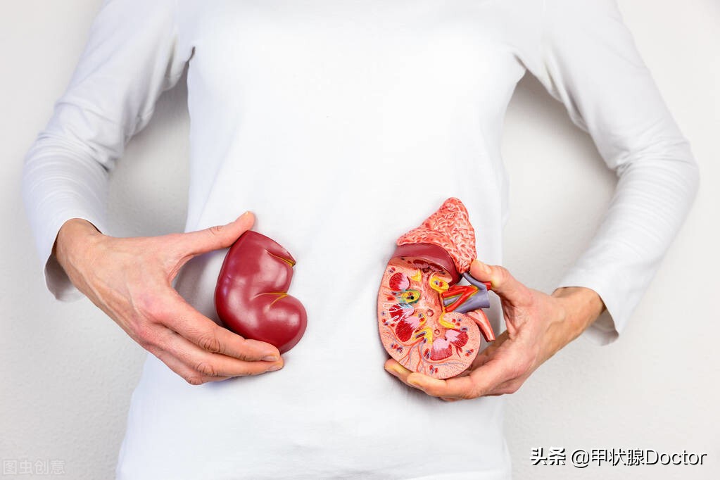 要强身,先补肾!这10大天然补肾食物比“补品”都要好,请收好