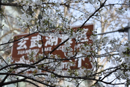 注意，鸡鸣寺路实施交通管控