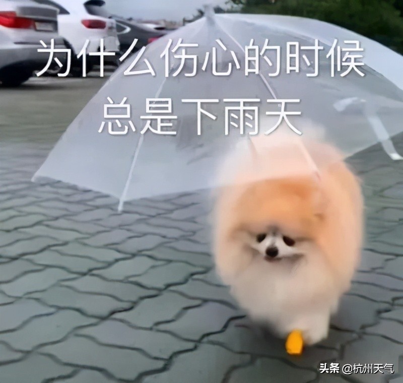 好天气即将上线,大降温紧随其后,接下去的天气太扎心......