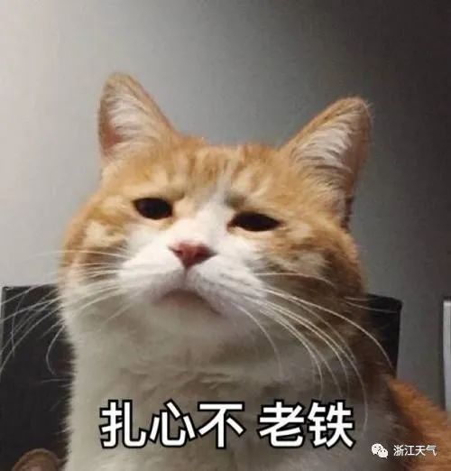 大反转马上要来了！受不了，浙江本周这天气！