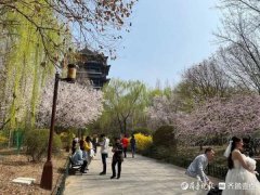 冷空气又将给山东带来降