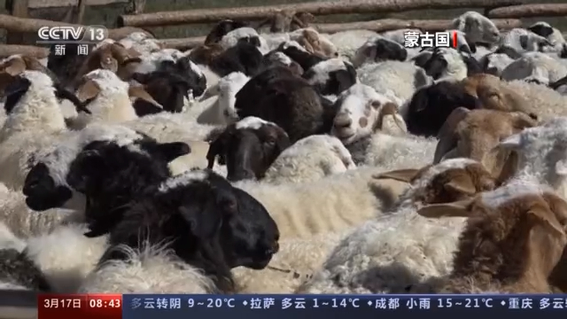 沙尘天气影响多国 专家:全球气候变化难辞其咎