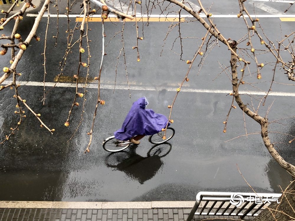 北京今晨小雨霏霏扰交通 空气质量得改善