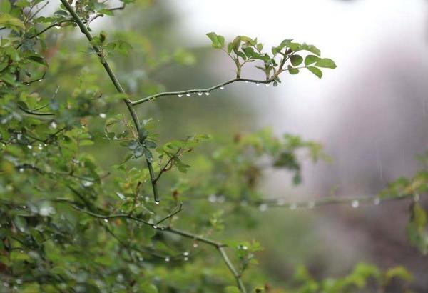 你们要的“洗尘雨”来了!未来几天天气如何?