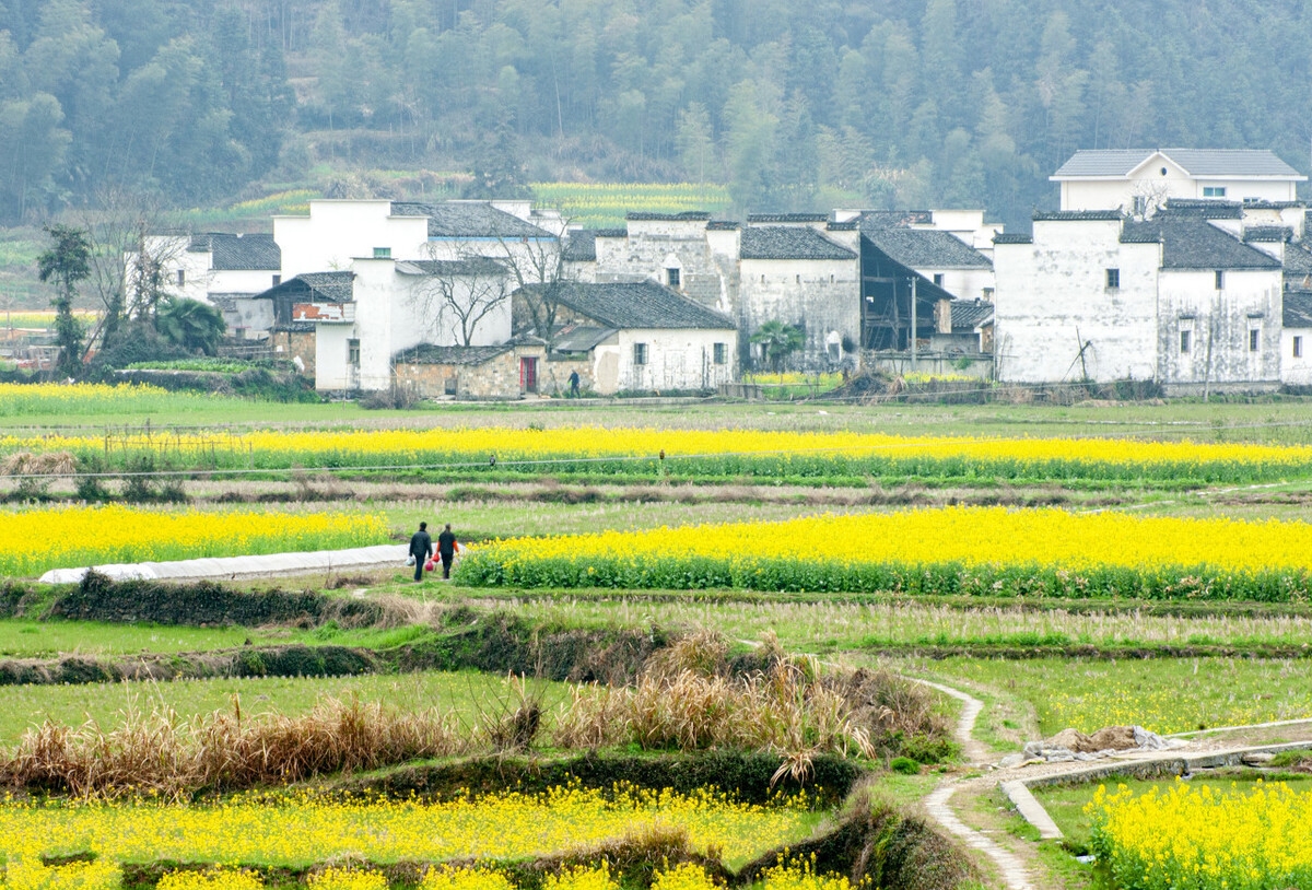 春天最适合小住三五天的12个地方，错过这些美景，又要等一年