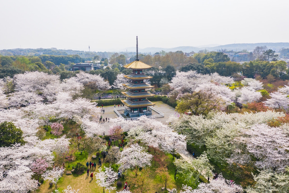 春天最适合小住三五天的12个地方，错过这些美景，又要等一年