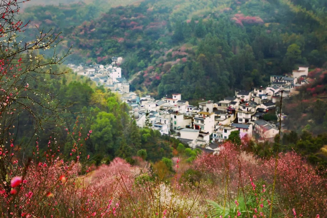 春天最适合小住三五天的12个地方，错过这些美景，又要等一年