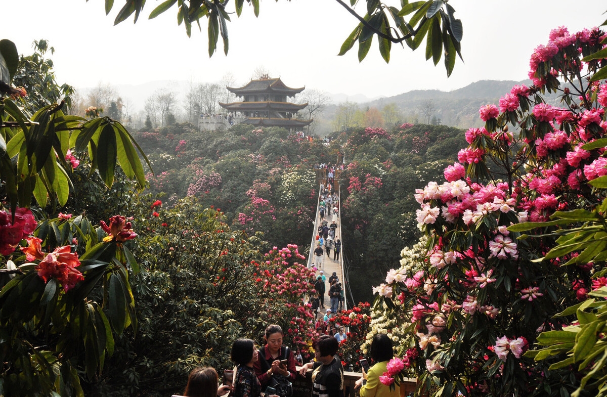 春天最适合小住三五天的12个地方，错过这些美景，又要等一年