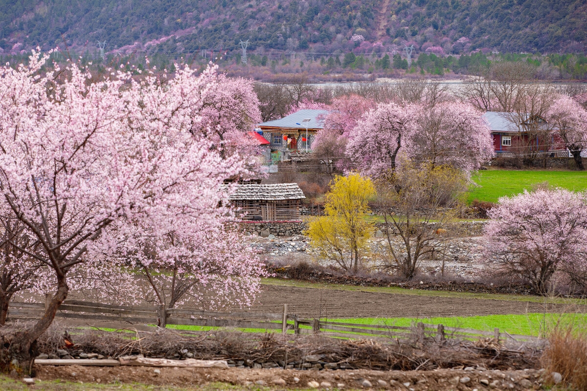 春天最适合小住三五天的12个地方,错过这些美景,又要等一年