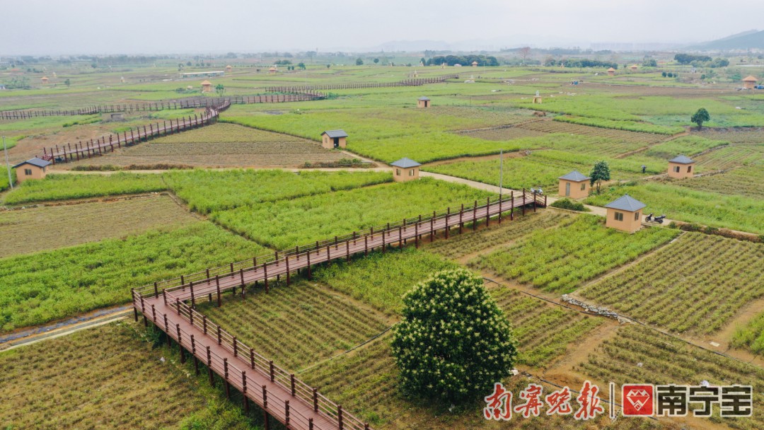 冷空气即将到达，夹带雷雨+冰雹，南宁的天气是这样