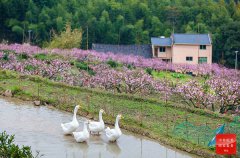 湖北省恩施市城清江两岸