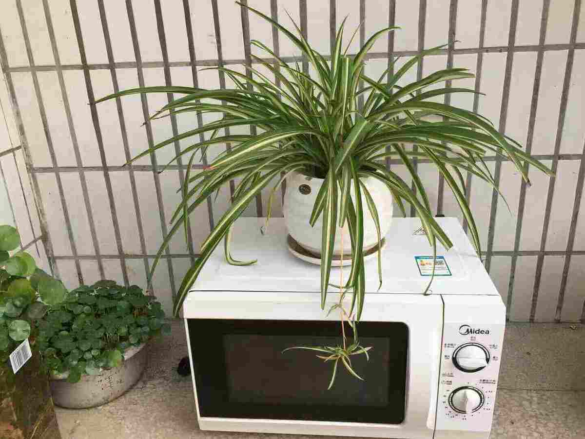 8个居家小妙招,虽然简单,但能解决大问题