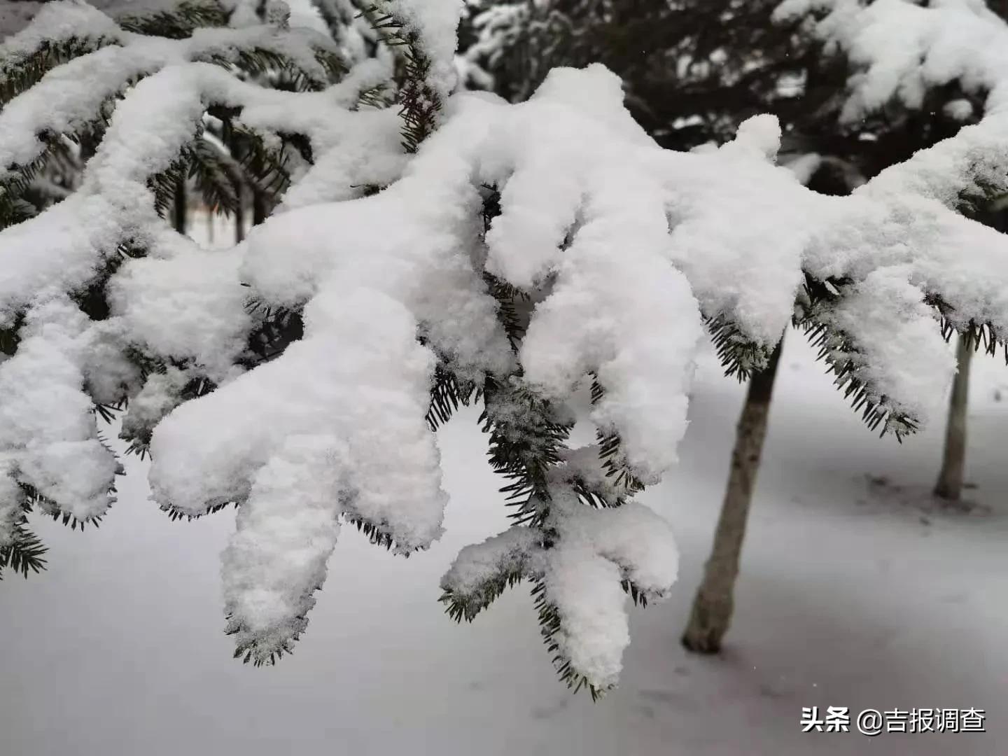 吉林省大部地方出现雨夹雪转雪天气,较大降水量出现在集安市达20.4毫米!