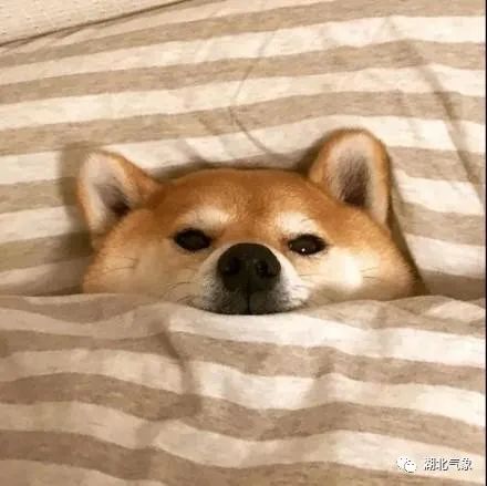 下周湖北能够一晴到底吗？
